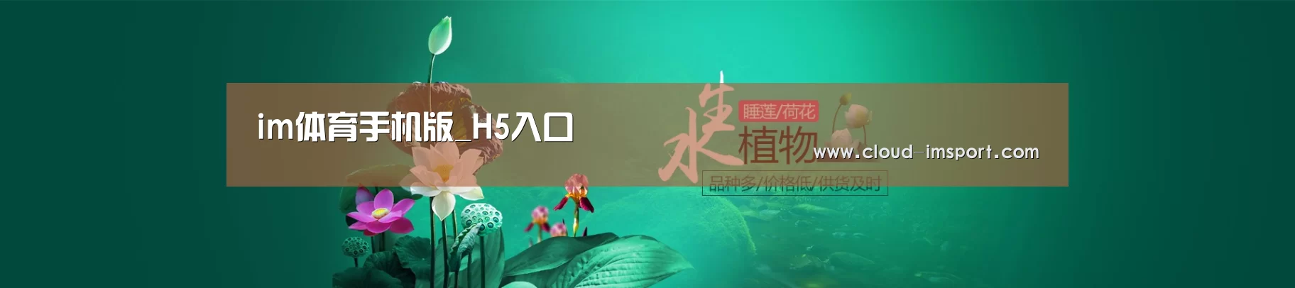 鲜花水草花卉网站模板