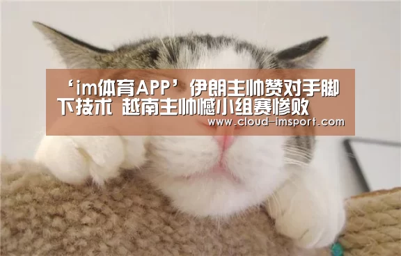im体育APP