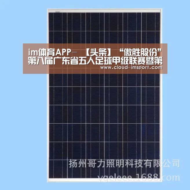 im体育官网