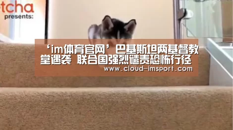 im体育下载