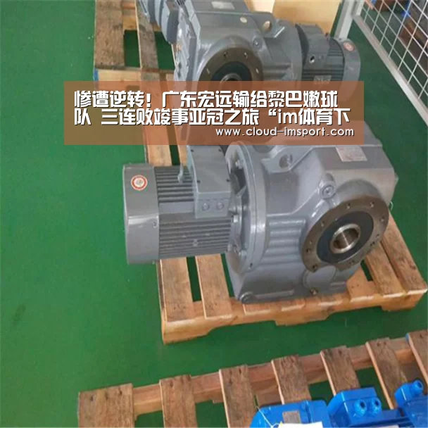 im体育网址