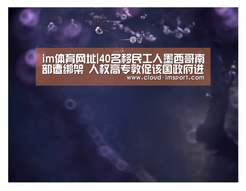 im体育网址