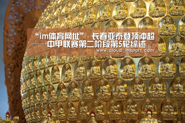 im体育网址