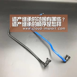 im体育网址