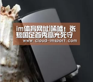 im体育网址