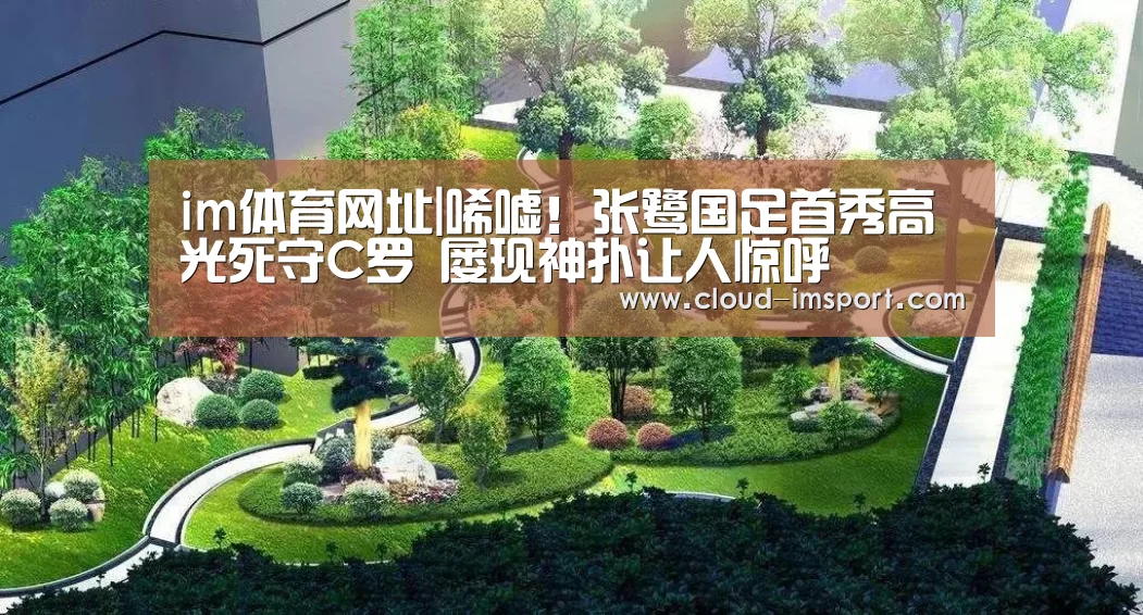 im体育官网