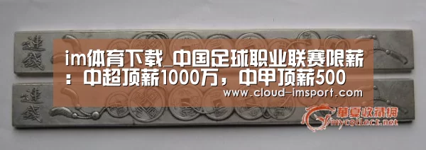 im体育下载